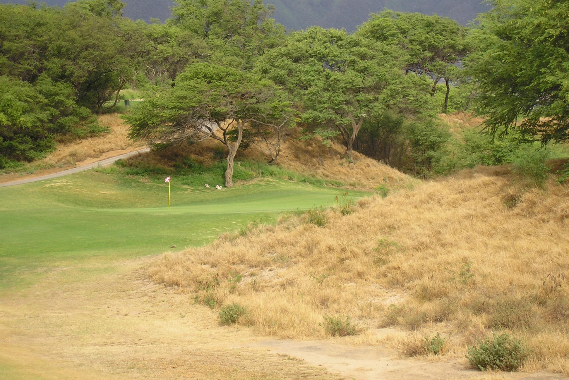 Blending Golf with the Natural Environment