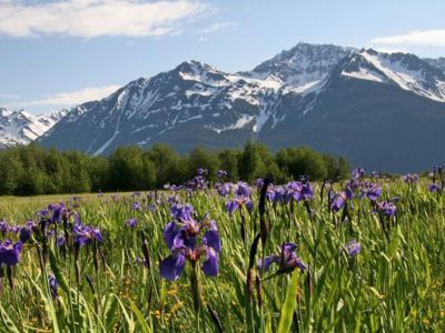 Valley of the Eagles Golf Course, Haines, Alaska